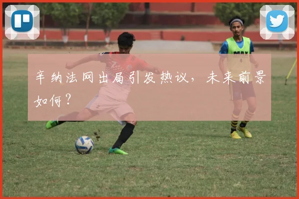 辛纳法网出局引发热议,未来前景如何?